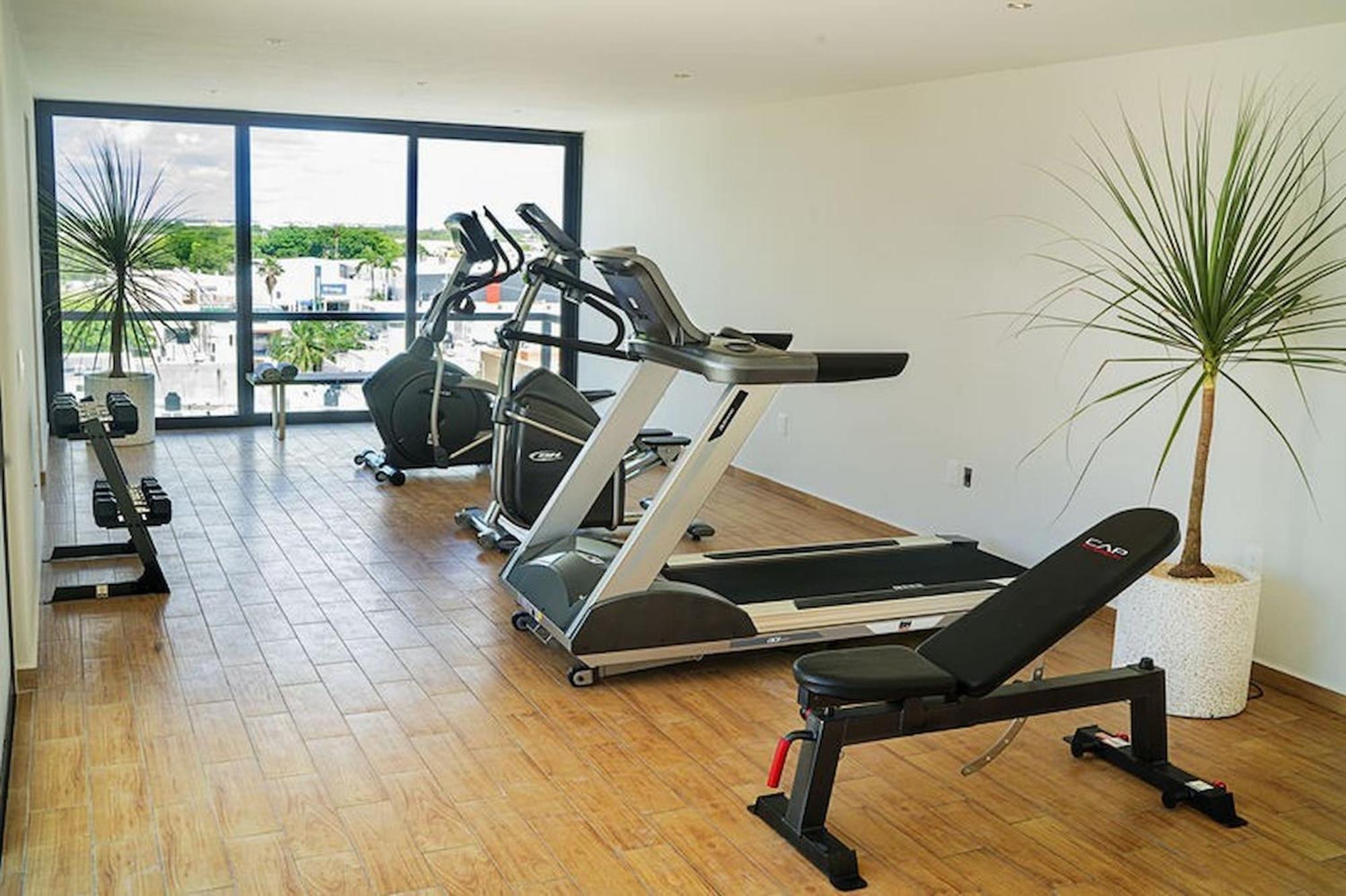 Opal Suites Apartments 신데 델 카르멘 외부 사진